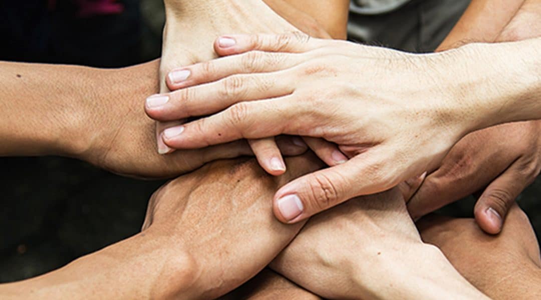 Patientenforum Leukämien und Lymphome