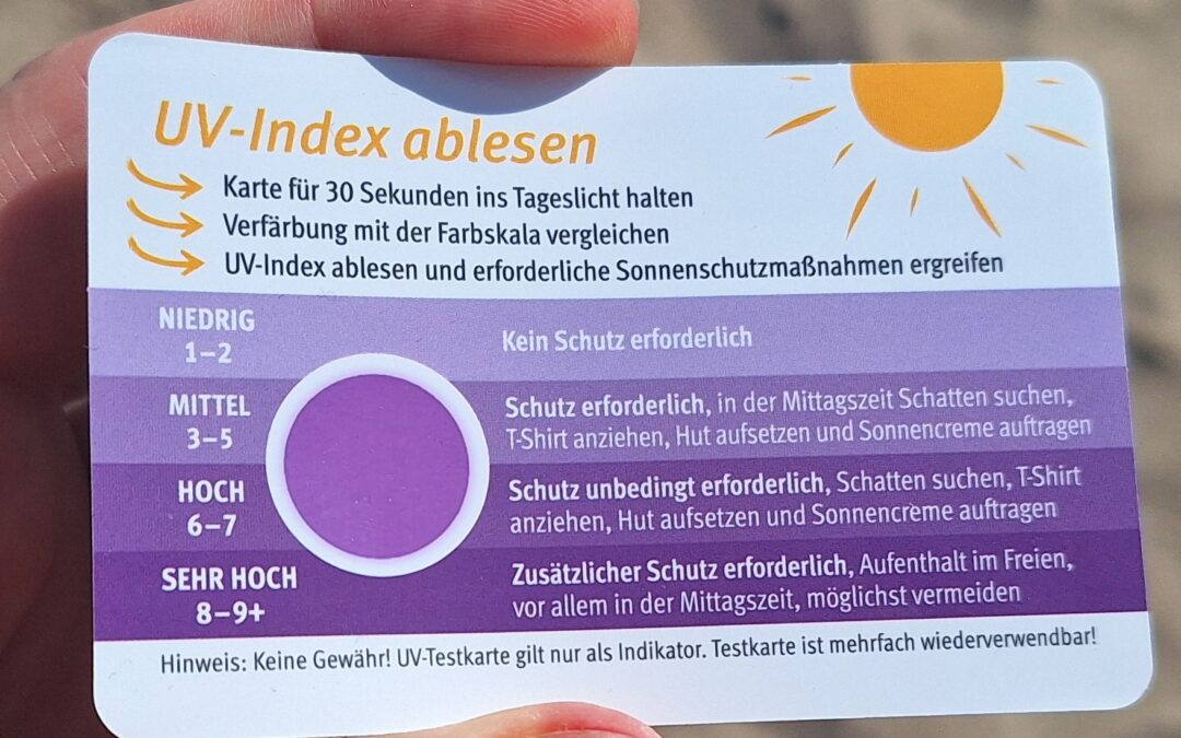 Sonne & Krebs